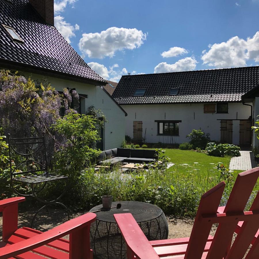 We Maison D'Hotes Cassel Zewnętrze zdjęcie