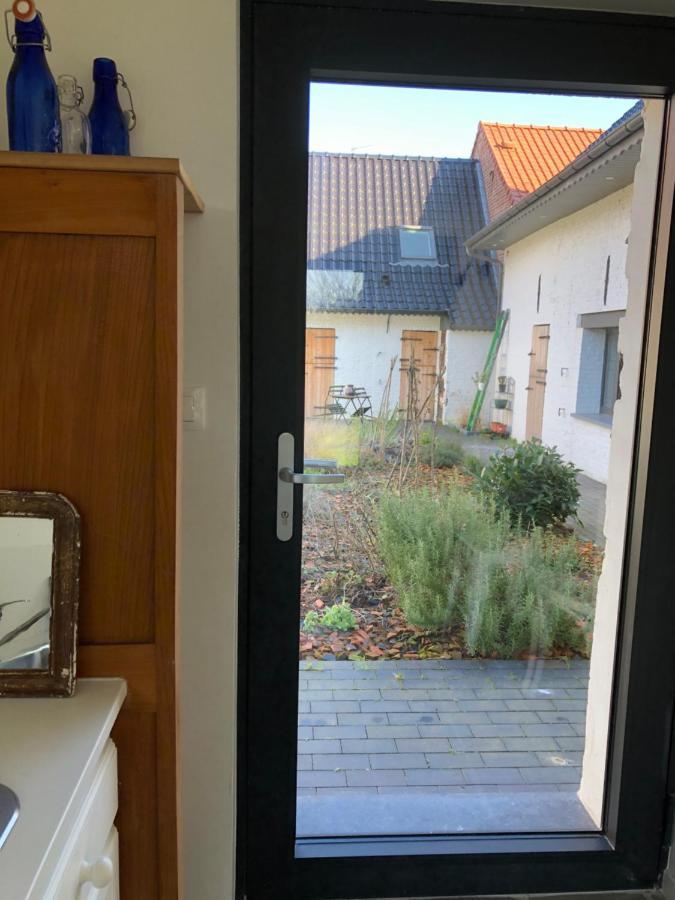 We Maison D'Hotes Cassel Zewnętrze zdjęcie