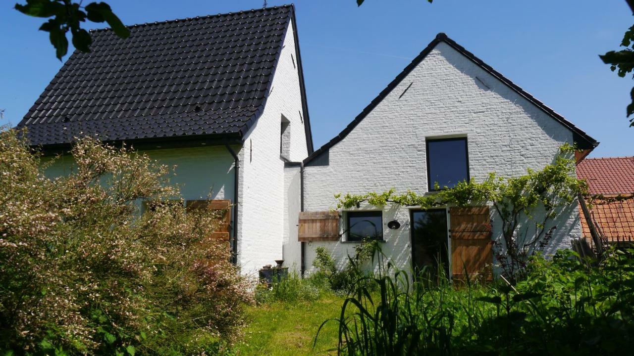 We Maison D'Hotes Cassel Zewnętrze zdjęcie