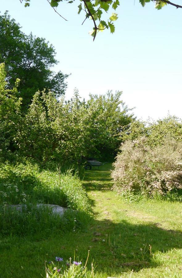 We Maison D'Hotes Cassel Zewnętrze zdjęcie