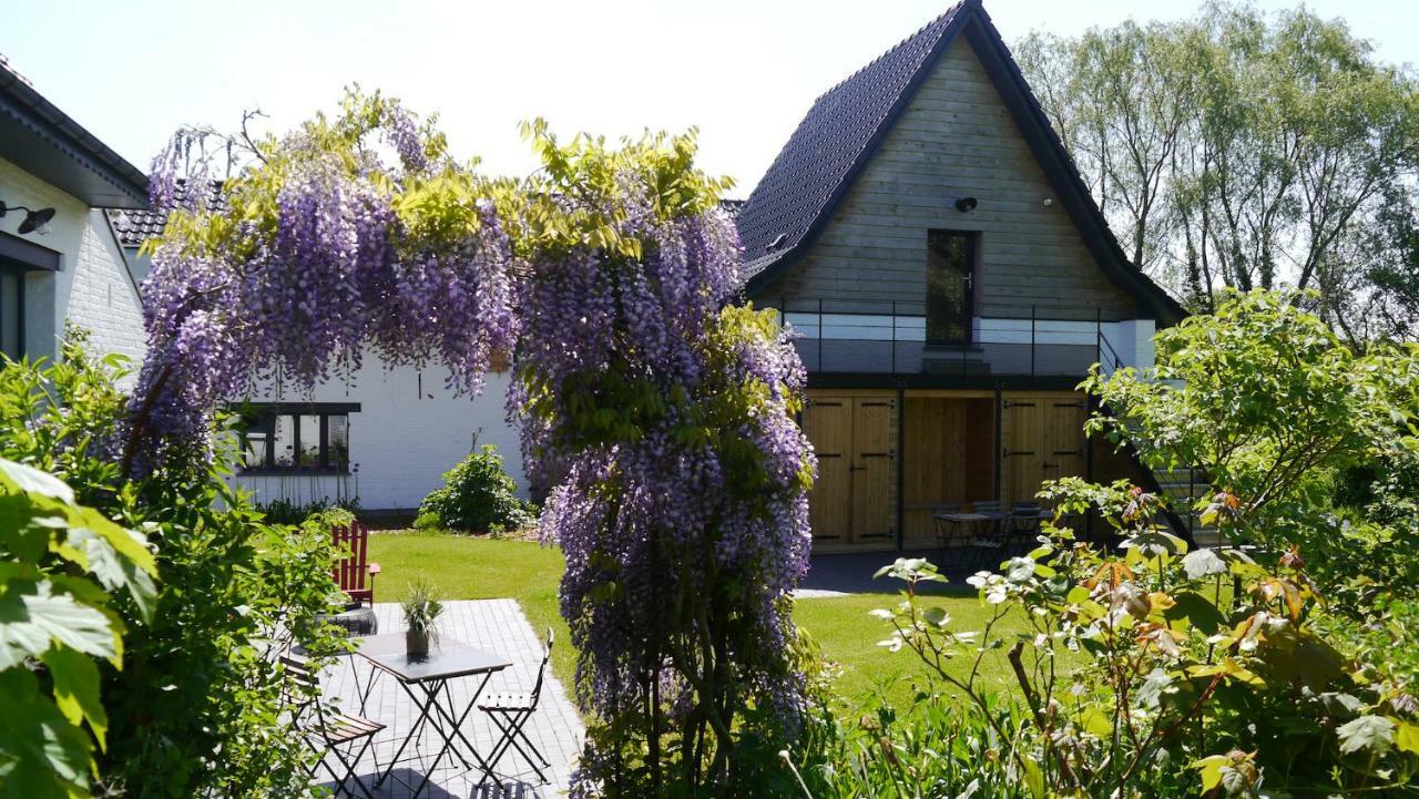We Maison D'Hotes Cassel Zewnętrze zdjęcie